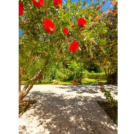Russa Alexandros Villa Trapezaki (Kefalonia)